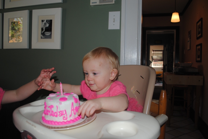 Amelia's First Birthday 183